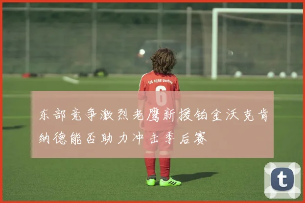 东部竞争激烈老鹰新援铂金沃克肯纳德能否助力冲击季后赛