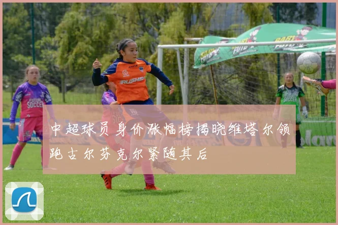 中超球员身价涨幅榜揭晓维塔尔领跑古尔芬克尔紧随其后