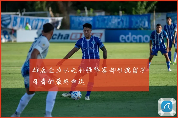 雄鹿全力以赴补强阵容却难挽留字母哥的最终命运