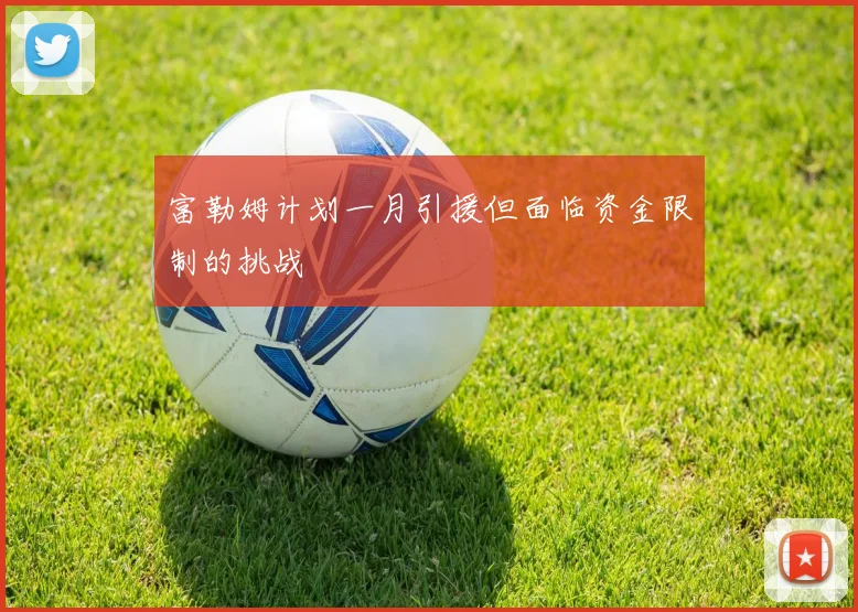 富勒姆计划一月引援但面临资金限制的挑战